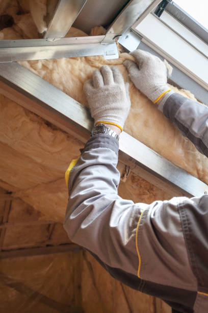 Best Wall Insulation Contractor  in South St Paul, MN