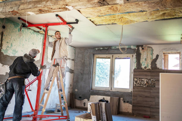 Best Cellulose Insulation  in South St Paul, MN