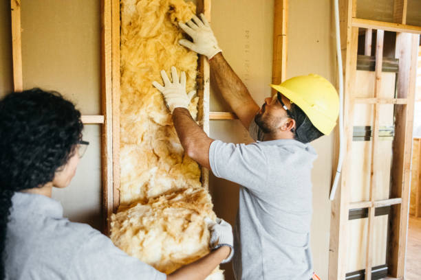 Best Home Insulation Services  in South St Paul, MN